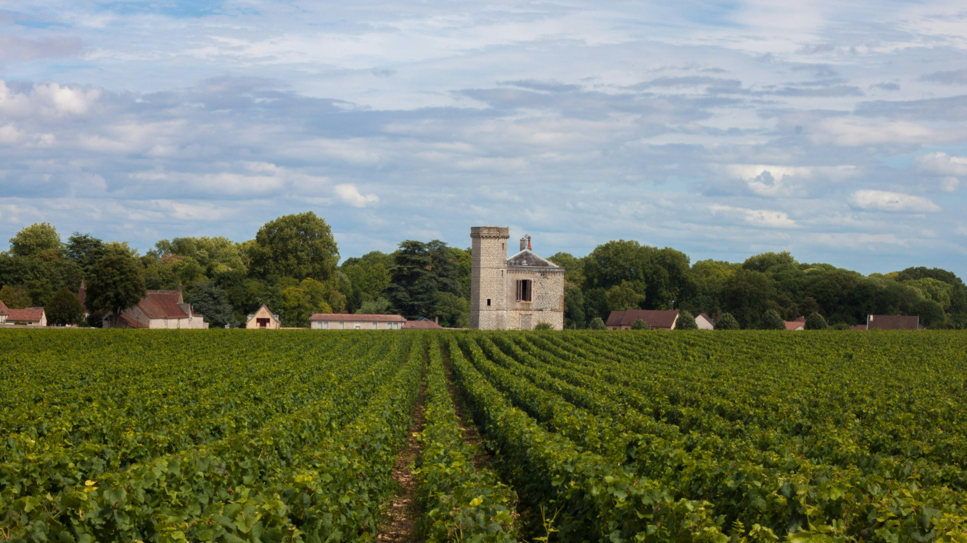 Un séjour vélo en Bourgogne du sud